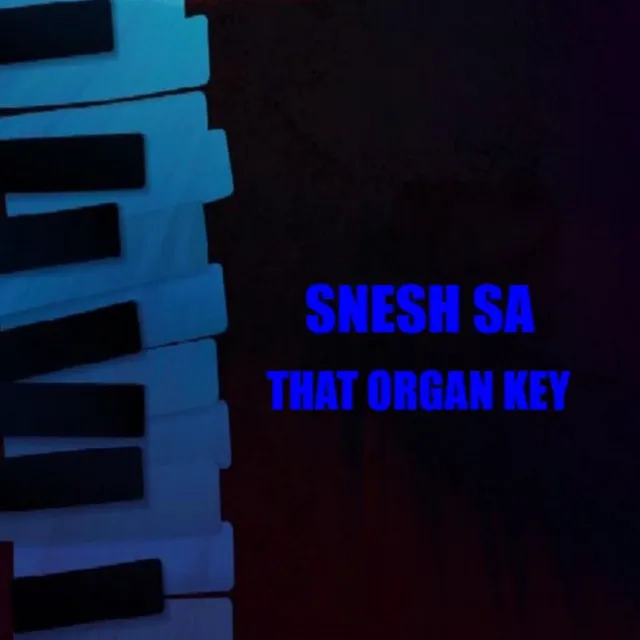 THAT ORGAN KEY