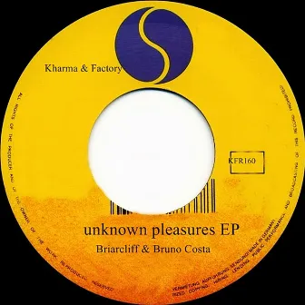 Unknown Pleasures EP by Briarcliff