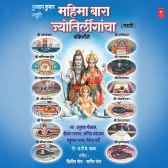 Mahima Bara Jyotirlingacha by Shakuntla Jadhav