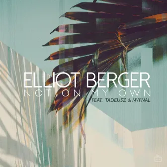 Not On My Own by Elliot Berger