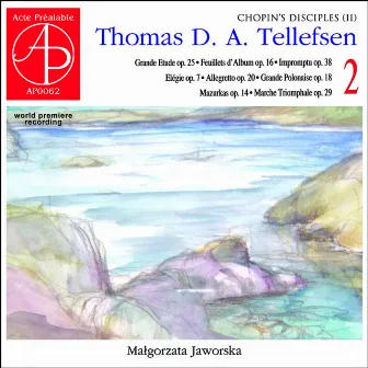 Thomas Tellefsen: Complete Piano Works 2 by Thomas Tellefsen