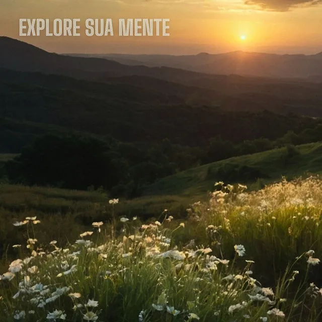 Explore Sua Mente (Remix)