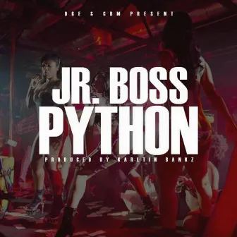 Python by J.R. Boss