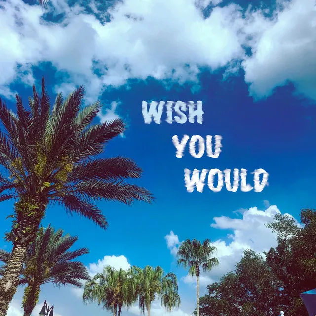 Wish You Would