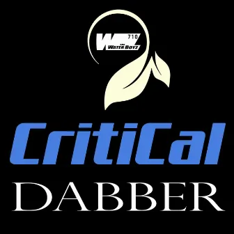 Critical Dabber by TheWaterBoyz710