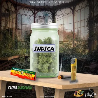 Indica by Kastro Di Bigga Dan