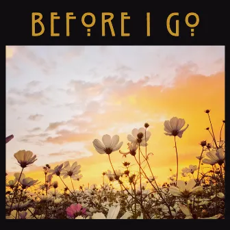 Before I Go by Invictus