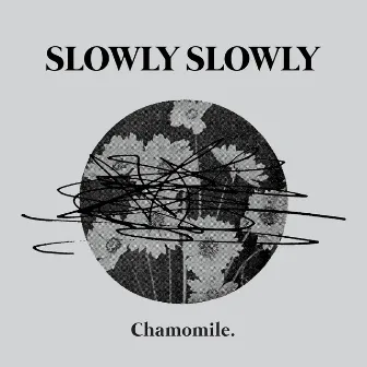 Chamomile by Slowly Slowly