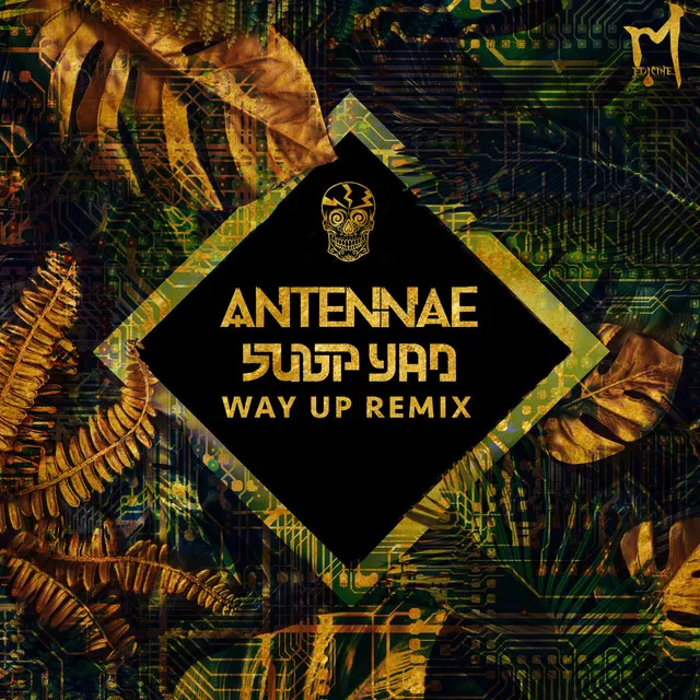 Way Up - Subp Yao Remix