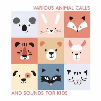 Various Animal Calls And Sounds For Kids by Geo Experience