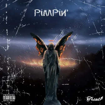 Pimpin' by Trial$