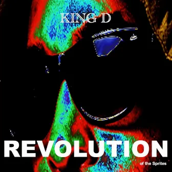 Revolution of the Sprites by King D