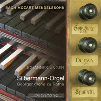 Johannes Unger Spielt An Der Silbermannorgel Zu Rötha by Johannes Unger