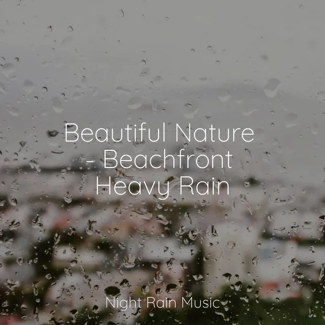 Beautiful Nature - Beachfront Heavy Rain