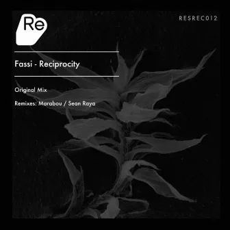 Reciprocity by Fassi