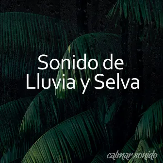 Sonido de Lluvia y Selva by Prince Sereno