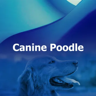 Canine Poodle by Instrumental Dog Music