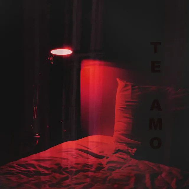 Te Amo - Remix