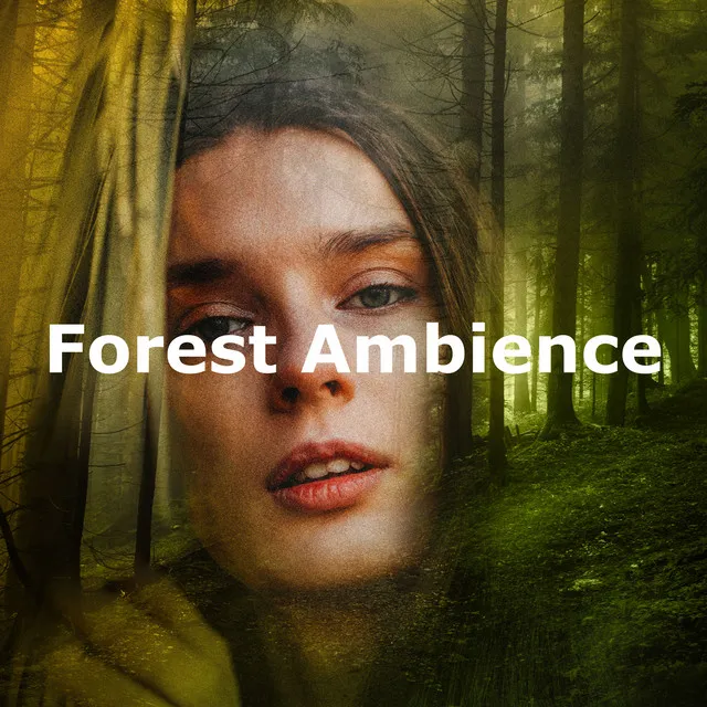 Forest Ambience