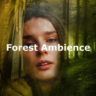 Forest Ambience by 