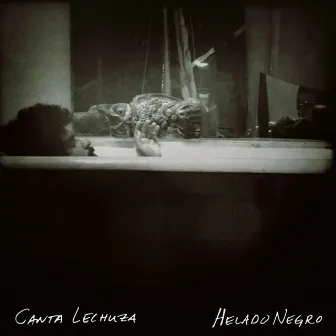 Canta Lechuza by Helado Negro