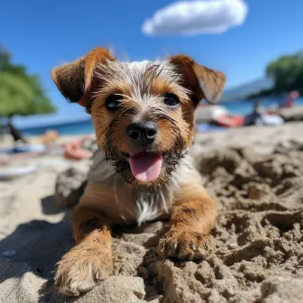 Olas Binaurales Para Perros: Ambiente Calmante Del Océano by Musicoterapia canina