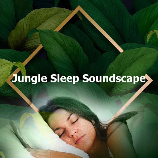 Jungle Sleep Soundscape