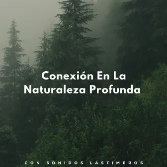 Conexión En La Naturaleza Profunda Con Sonidos Lastimeros by Relajación Y Spa