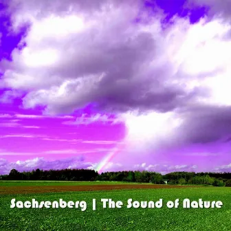 The Sound of Nature by Sachsenberg