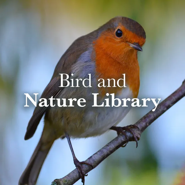 ! ! ! Bird and Nature Library ! ! !