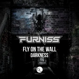 Fly On The Wall/Darkness by Furniss