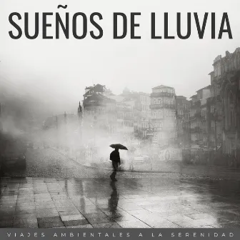 Sueños De Lluvia: Viajes Ambientales A La Serenidad by Unknown Artist