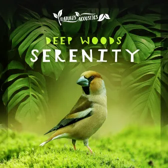 Deep Woods Serenity by Natures Acoustics