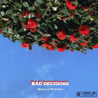 Bad Decisions by Marcy WTF