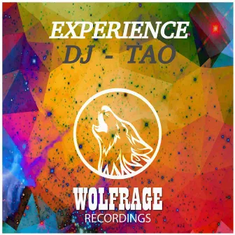 Experience by Wolfrage