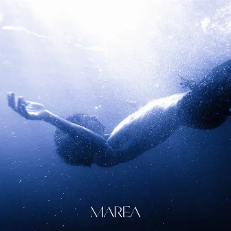 MAREA by solomarco