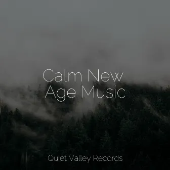 Calm New Age Music by Meditation Relaxation Club