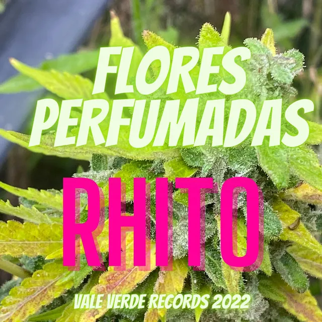 Flores Perfumadas