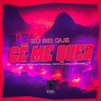 Eu Sei Que Cê Me Quer by mc tg official