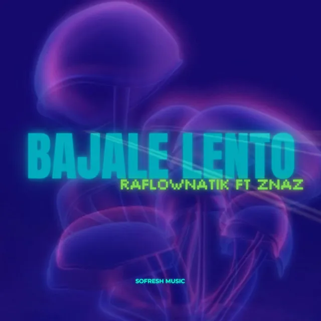 Bajale Lento