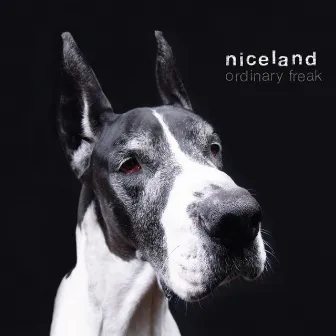 Ordinary Freak by Niceland