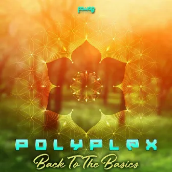 Back to the Basics by Polyplex