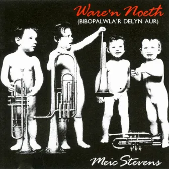 Ware'N Noeth (Bibopalwla'R Delyn Aur) by Meic Stevens