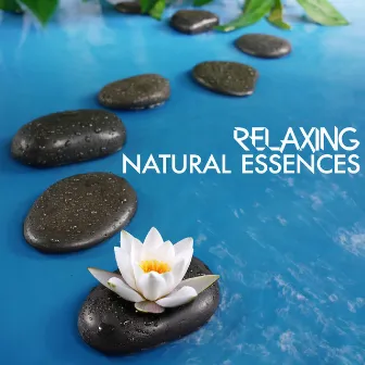 Relaxing Natural Essences by Unknown Artist