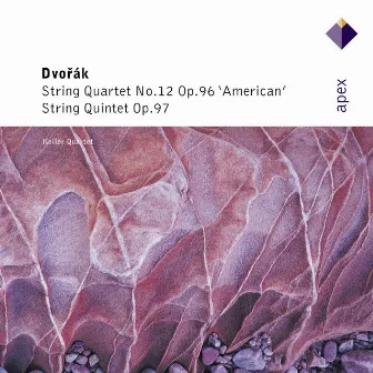 Dvořák: String Quartet No. 12, Op. 96 