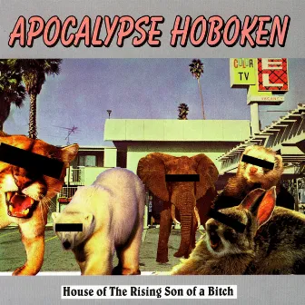 House Of The Rising Son Of A Bitch by Apocalypse Hoboken