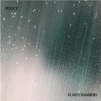 Echo Chambers by Policy