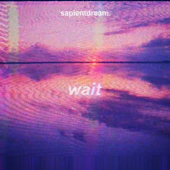 Wait by sapientdream