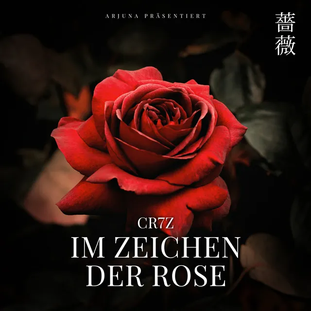 Im Zeichen der Rose