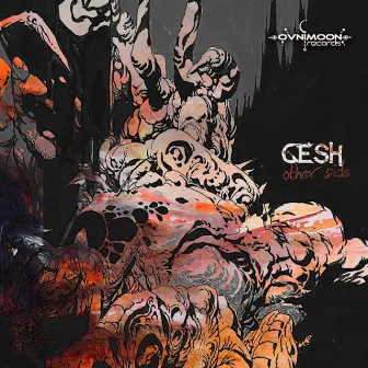 Other Side by Gesh